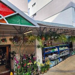 Kovan City (D19), Retail #545516881